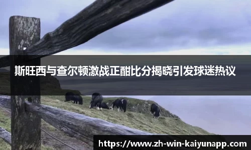 斯旺西与查尔顿激战正酣比分揭晓引发球迷热议